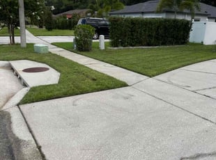 Brad S.'s turf care service result