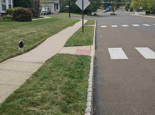 Dana M.'s turf maintenance service result