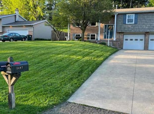Ivy C.'s turf care service result