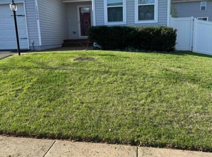 Rick C.'s turf care service result