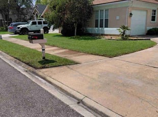 John T.'s grass maintenance service result