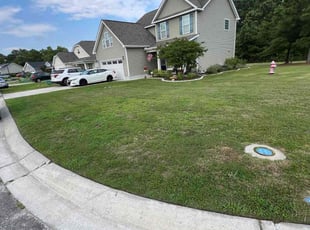 Vera I.'s lawn maintenance service result