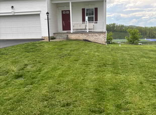 Ricky E.'s lawn maintenance service result