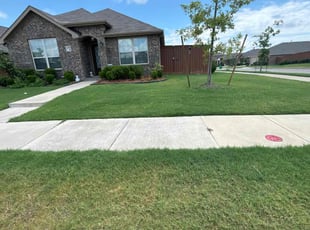 Marsha H.'s lawn care services service result