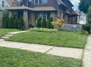 Ebrisha P.'s grass maintenance service result