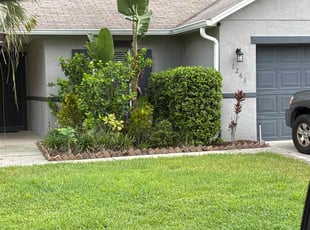 Danny D.'s lawn service service result