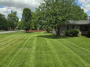 Susana A.'s lawn service service result