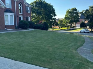 Jill P.'s lawn maintenance service result