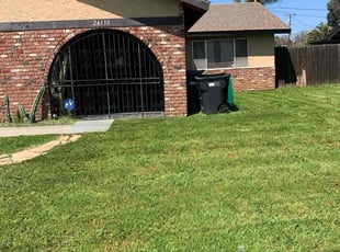 Torea B.'s lawn service service result