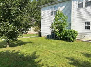 Linda N.'s grass maintenance service result