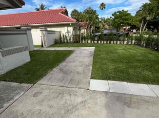 Carol B.'s turf maintenance service result