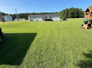 Taylor K.'s turf maintenance service result