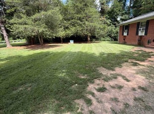 Blessing E.'s grass cutting service result