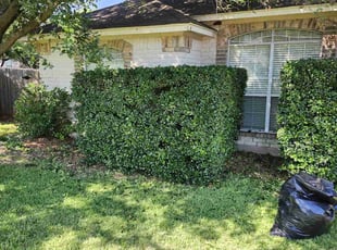 Bill S.'s Bush Trimming service result
