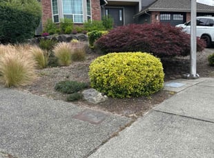 Byron E.'s Bush Trimming service result