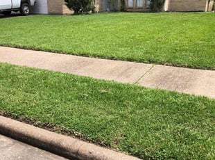 Hargrow P.'s turf maintenance service result