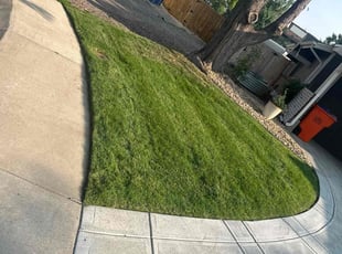 Rhonda S.'s turf maintenance service result