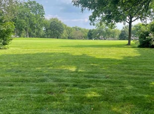 Stanley O.'s lawn care service result