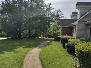 Tammy P.'s lawn service service result