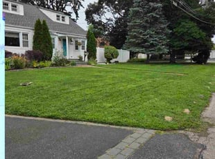 Joseph P.'s lawn care services service result