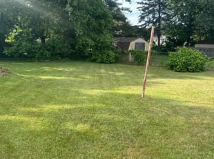 Nina M.'s lawn maintenance service result