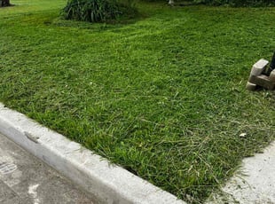 Andrew S.'s grass cutting service result