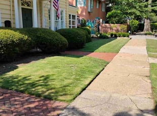 Winter H.'s yard work service result