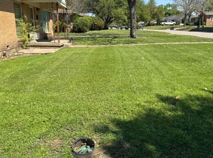 Gregory T.'s lawn care service result