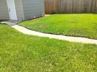 Paul F.'s grass cutting service result