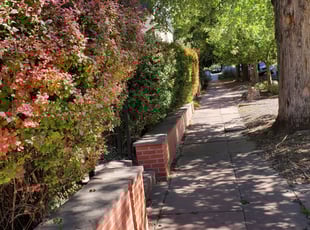 John H.'s Bush Trimming service result