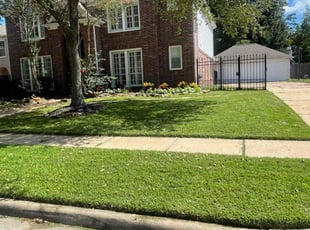 Angel P.'s grass cutting service result