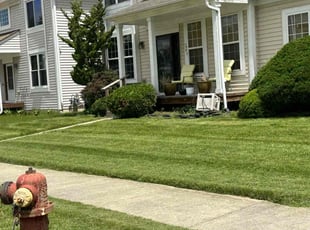 Tammy M.'s grass maintenance service result