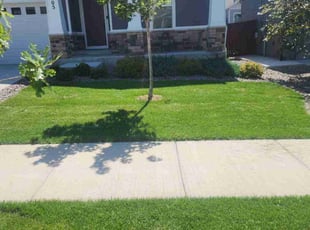 Chris M.'s lawn care service result