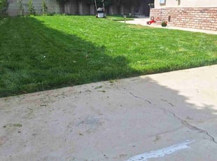 Christina R.'s turf care service result