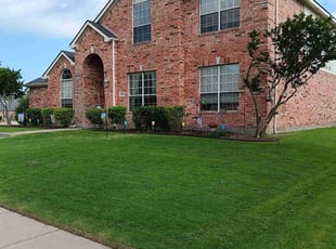 Dorian M.'s turf maintenance service result