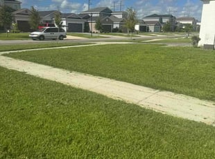Jeremey C.'s turf maintenance service result