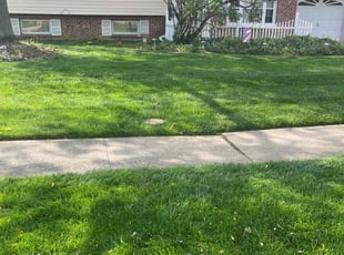 Rhonda D.'s turf care service result