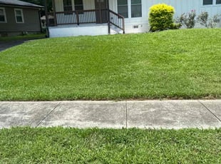 Tiffany R.'s lawn care services service result