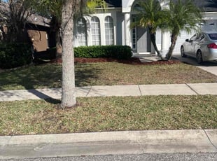 Bala A.'s lawn care services service result
