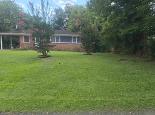Brianna A.'s lawn care services service result