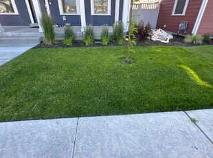 Kevin R.'s turf maintenance service result