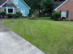 Crystal D.'s turf maintenance service result
