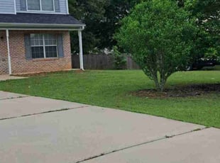 Sibreana R.'s turf care service result