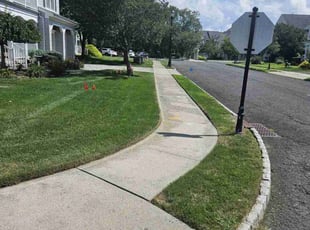 Peter M.'s turf care service result