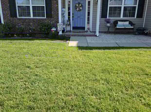 Abdul Z.'s turf maintenance service result