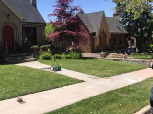 Jenn J.'s grass maintenance service result