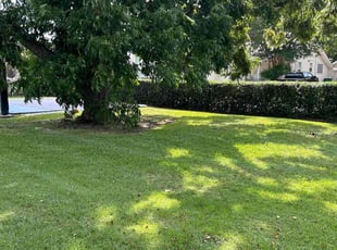 Josh F.'s turf care service result