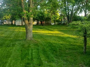 Cynthia J.'s lawn care service result