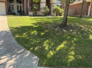 Steven M.'s lawn care services service result