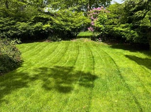 Richard B.'s lawn maintenance service result